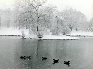 1972
